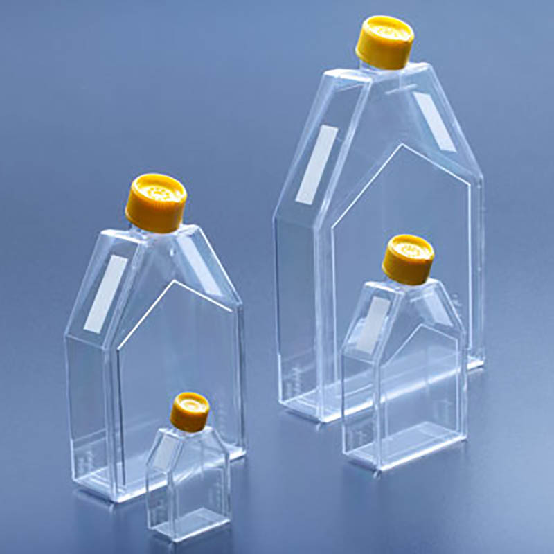 Plastic cell culture flasks molding